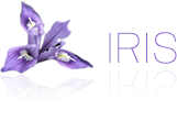 iris florist software